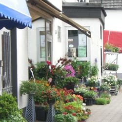 Blumenlädchen Tenhaeff