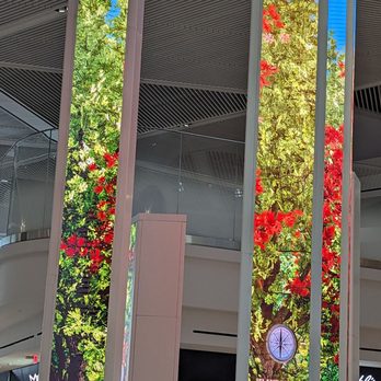 Newark New Terminal A - Tall HD screen brings the outdoors indoors! - Airport Terminals Near Me - Newark, New Jersey