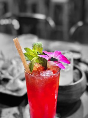 Wizards & Wands by null