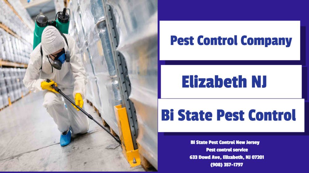 BI STATEPEST 633 Dowd Ave, Elizabeth, New Jersey Pest Control