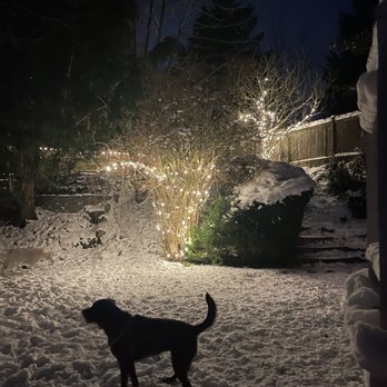 Brothers Holiday Lighting - Holiday Decorating Services Near Me Brothers Holiday Lighting - Holiday Decorating Services Near Me