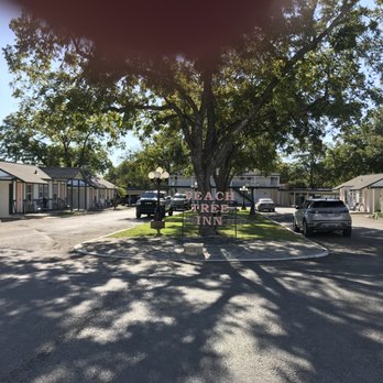 Peach Tree Inn & Suites - Hotels Near Me - Fredericksburg, Texas Peach Tree Inn & Suites - Hotels Near Me - Fredericksburg, Texas