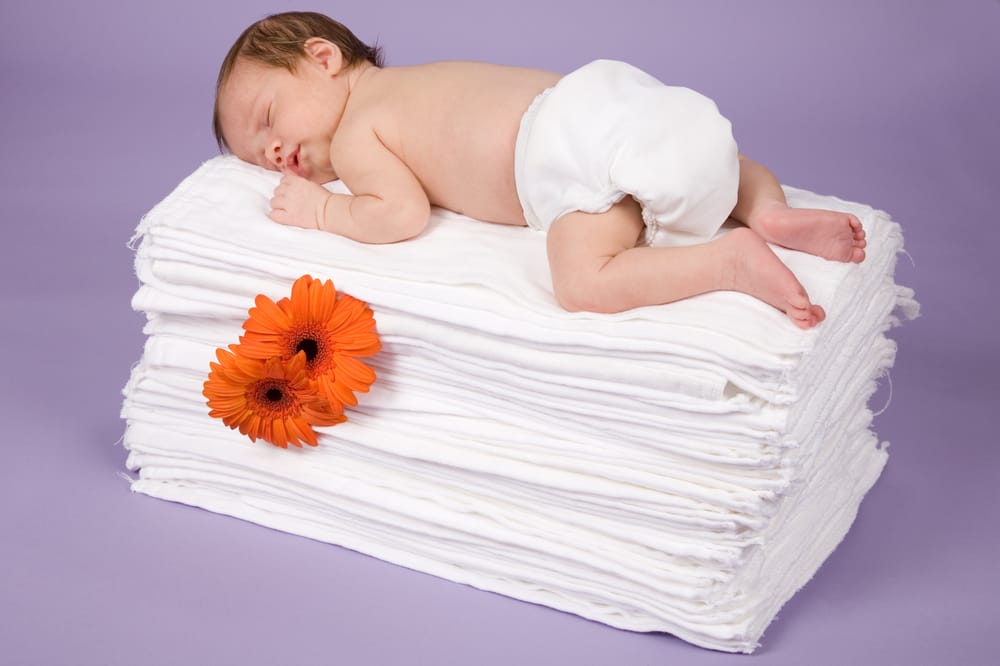 DYDEE DIAPER SERVICE Updated July 2024 19 Photos & 66 Reviews