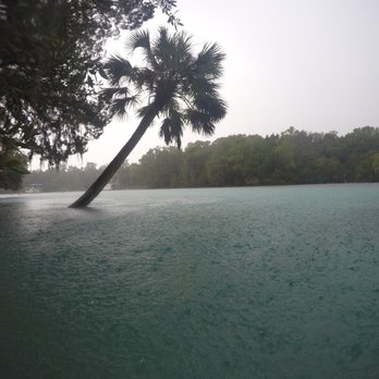 Silver Glen Springs - Parks Near Me - Salt Springs, Florida Silver Glen Springs - Parks Near Me - Salt Springs, Florida