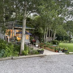 Shelby Floral @ Ivy Cottage