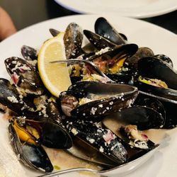 The Dam Pub - PEI muscles in a white wine garlic sauce