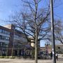 Photo of Stadt Pinneberg