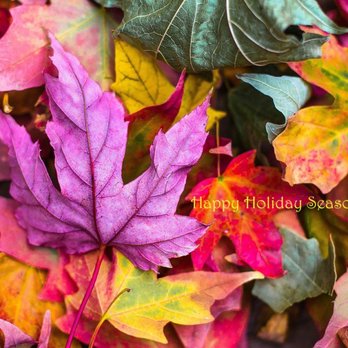Alyssa Baxter Keratin Studios - Happy Holiday Season! Wishing You Beauty and Wellness. Alyssa Baxter - Hair Stylists Near Me