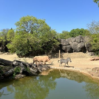 Maryland Zoo in Baltimore - Zoos Near Me - Baltimore, Maryland