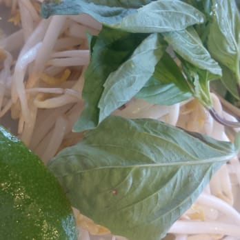 Phở 14 - Vietnamese Near Me - Washington, DC, District of Columbia Phở 14 - Vietnamese Near Me - Washington, DC, District of Columbia