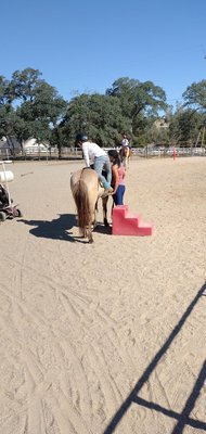 HEALING PASTURES @ C HORSE RANCH - Updated January 2025 - 11685