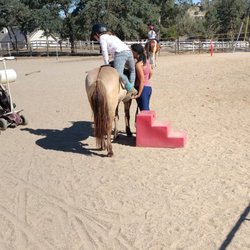 Healing Pastures At C Horse Ranch - 1st timer class