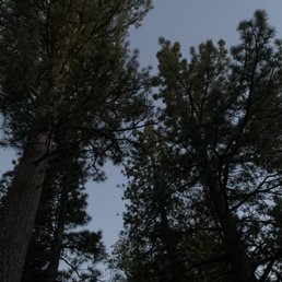 Dark quiet night skies from the backyard picnic table Dark quiet night skies from the backyard picnic table