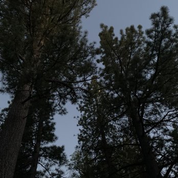 Marine Corps Cabins Big Bear - Dark quiet night skies from the backyard picnic table - Campgrounds Near Me - Big Bear Lake, California Marine Corps Cabins Big Bear - Dark quiet night skies from the backyard picnic table - Campgrounds Near Me - Big Bear Lake, California