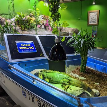 Austin Aquarium - Aquariums Near Me - Austin, Texas Austin Aquarium - Aquariums Near Me - Austin, Texas