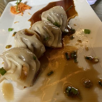 Wasabi's Fusion - Pork dumplings! - Japanese Near Me - Pooler, Georgia