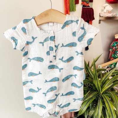 The Merry Lion by null