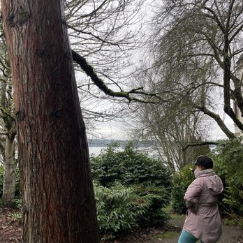 Slater Park - View from the moss circle. - Parks Near Me - Mercer Island, Washington Slater Park - View from the moss circle. - Parks Near Me - Mercer Island, Washington