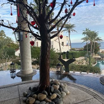 The Sea Grill - Bonita - Seafood Near Me - Cabo Real, BCS
