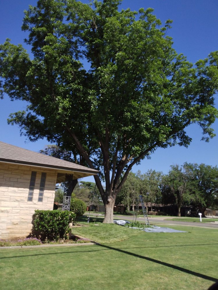 Slide of True Care Services