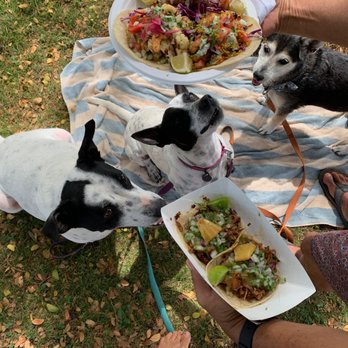 Dos Jefes - The crew agrees that Dos Jefes is THE BEST! - Tacos Near Me Dos Jefes - The crew agrees that Dos Jefes is THE BEST! - Tacos Near Me