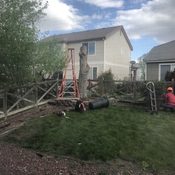 AAA Emergency Tree Service - Almost done - Tree Services Near Me - Denver, Colorado AAA Emergency Tree Service - Almost done - Tree Services Near Me - Denver, Colorado