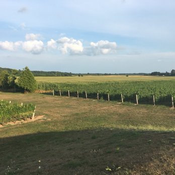 Cooper's Hawk Vineyards - Wineries Near Me - Essex, Ontario Cooper's Hawk Vineyards - Wineries Near Me - Essex, Ontario