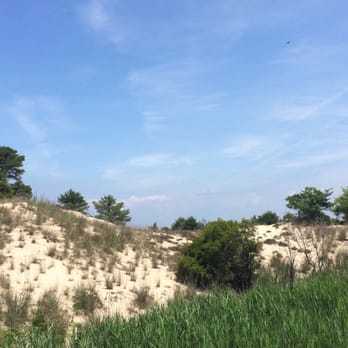 Cape Henlopen State Park - View from the bike path. - Parks Near Me - Lewes, Delaware Cape Henlopen State Park - View from the bike path. - Parks Near Me - Lewes, Delaware