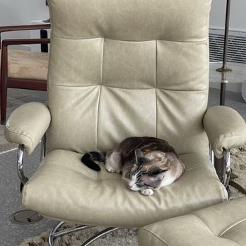 Lesley's Upholstery - Approved by Sunny ! - Furniture Reupholstery Near Me - Cathedral City, California Lesley's Upholstery - Approved by Sunny ! - Furniture Reupholstery Near Me - Cathedral City, California