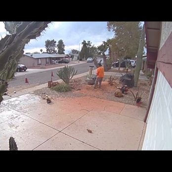 Hummingbird Tree Care - Stump grinding - Tree Services Near Me - Phoenix, Arizona Hummingbird Tree Care - Stump grinding - Tree Services Near Me - Phoenix, Arizona