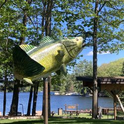 Frank B Koller Memorial Park