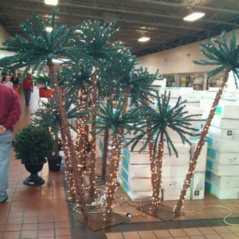 At Home - Christmas Palms. - Home Decor Near Me - Houston, Texas