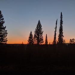 Prospector Lodge & Cabins
