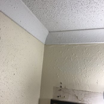 Quality Inn - Hotels Near Me - Richmond Hill, Georgia