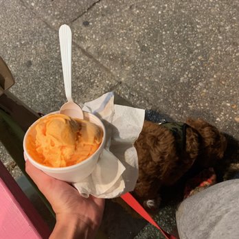 Lizzy's Ice Cream - Orange sherbet is delicious (even our puppy loves Lizzy's!) - Desserts Near Me - Wildwood, New Jersey Lizzy's Ice Cream - Orange sherbet is delicious (even our puppy loves Lizzy's!) - Desserts Near Me - Wildwood, New Jersey