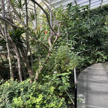 Six Flags Discovery Kingdom - Butterfly Room - Amusement Parks Near Me - Vallejo, California Six Flags Discovery Kingdom - Butterfly Room - Amusement Parks Near Me - Vallejo, California