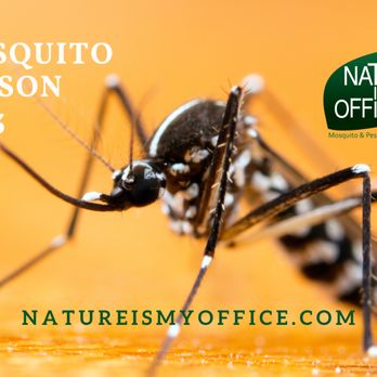 Nature Is My Office - Mosquito control from Nature Is My Office Pest Control. - Pest Control Near Me - Cincinnati, Ohio Nature Is My Office - Mosquito control from Nature Is My Office Pest Control. - Pest Control Near Me - Cincinnati, Ohio