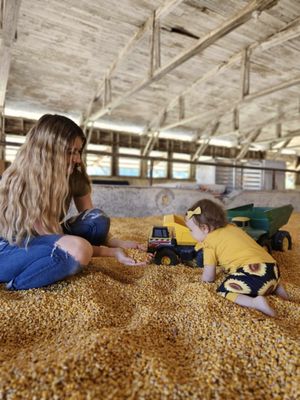 Bob's Corn & Pumpkin Farm by null