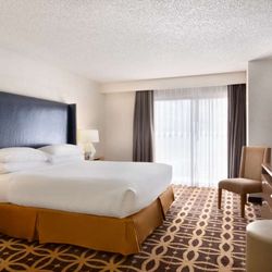 Embassy Suites by Hilton Dallas DFW Airport South - Guest room