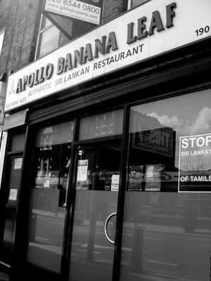 Apollo Banana Leaf by null