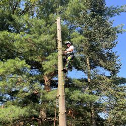 Adam’s Outdoor Services Plus