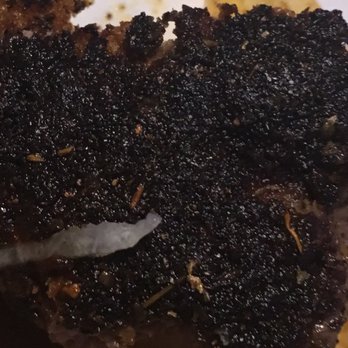 Cafe Blue - Seasoning encrusted on both sides. - Seafood Near Me - Bee Cave, Texas Cafe Blue - Seasoning encrusted on both sides. - Seafood Near Me - Bee Cave, Texas