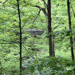 Beautiful woods Beautiful woods