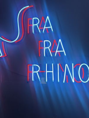 Ra-Ra Rhino (speakeasy thru the photobooth ) by null