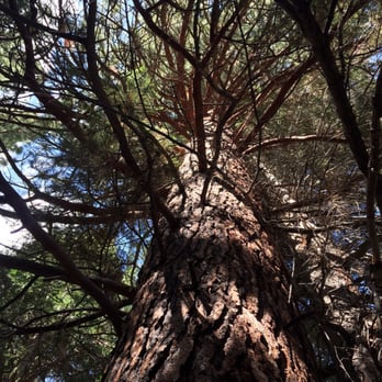 Hunter Creek Waterfall Trail - Hiking Near Me