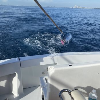 MARLIN MY DARLIN SPORTFISHING - Updated July 2024 - 84 Photos & 35