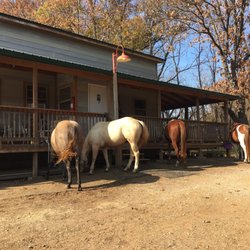 Flying Q Farms