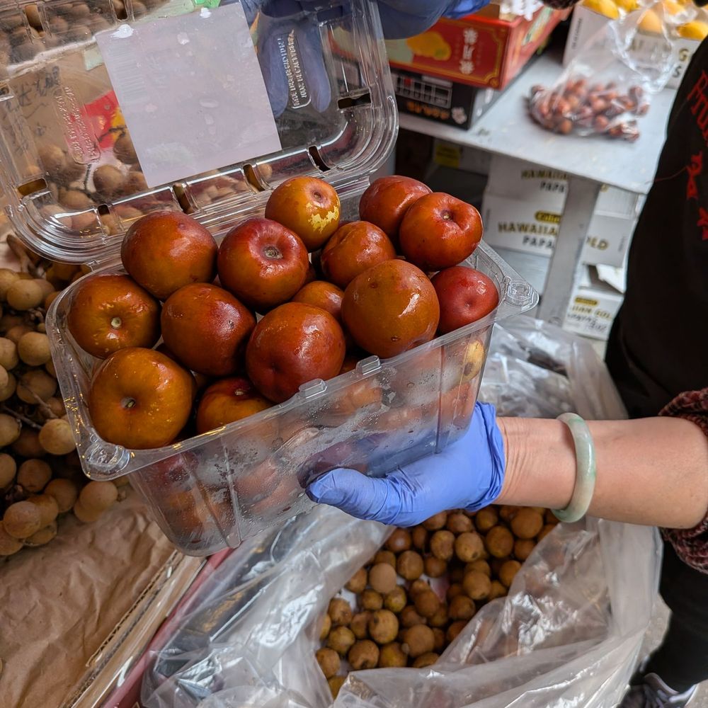 Fruitful Dreams - Jujube dates, in season, 11/14/25 - Coffee & Tea Near Me - San Francisco, California Fruitful Dreams - Jujube dates, in season, 11/14/25 - Coffee & Tea Near Me - San Francisco, California
