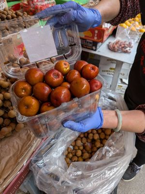 Fruitful Dreams by null