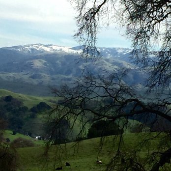 Pleasanton Ridge Regional Park - Rare Bay Area Snow Caps - Parks Near Me - Pleasanton, California